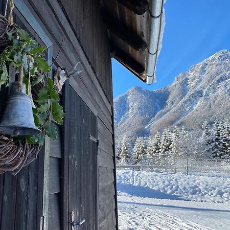 Chalet Am Weissenbach Hinterstoder Zewnętrze zdjęcie