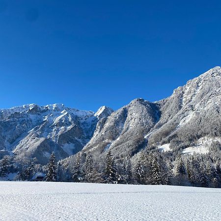 Chalet Am Weissenbach Hinterstoder Zewnętrze zdjęcie