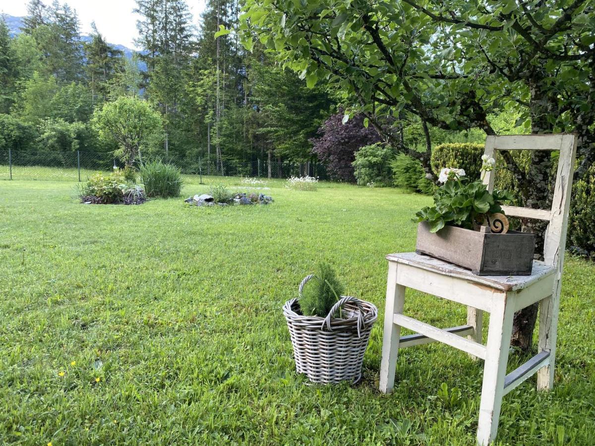 Chalet Am Weissenbach Hinterstoder Zewnętrze zdjęcie