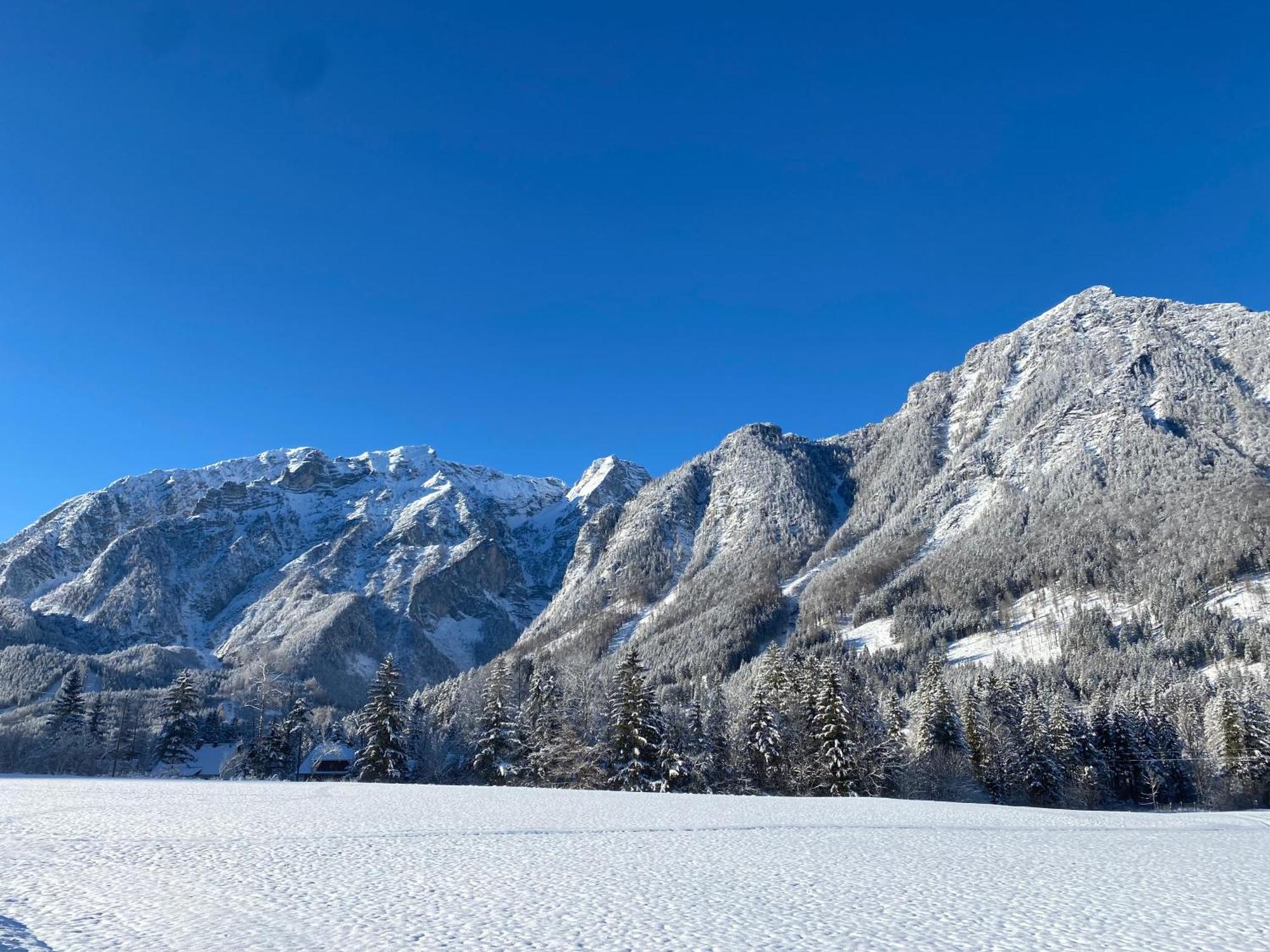 Chalet Am Weissenbach Hinterstoder Zewnętrze zdjęcie