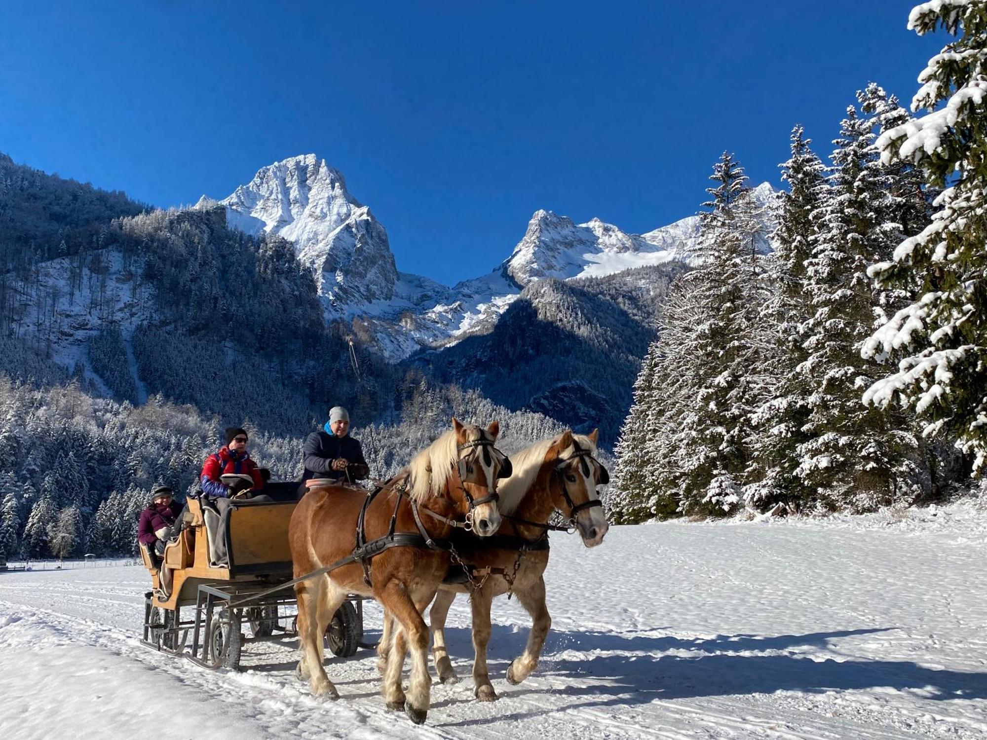 Chalet Am Weissenbach Hinterstoder Zewnętrze zdjęcie